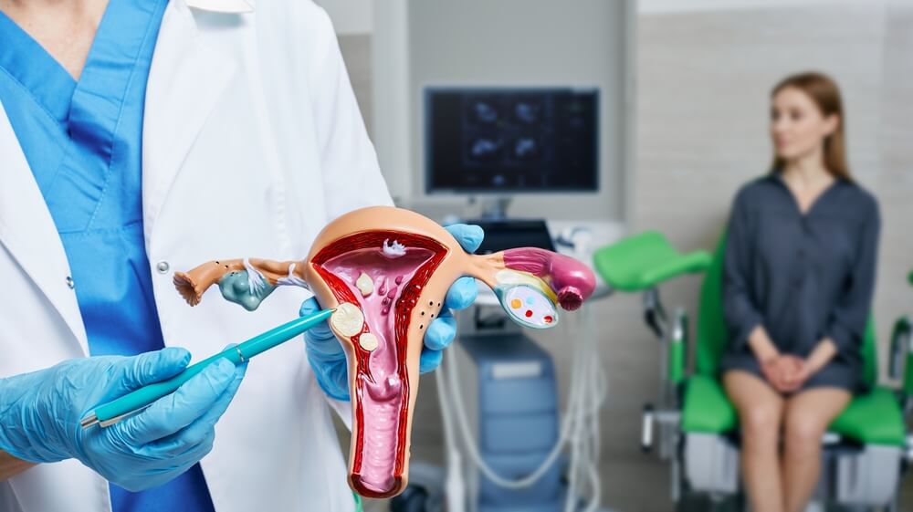 A doctor showing a model of a uterus.