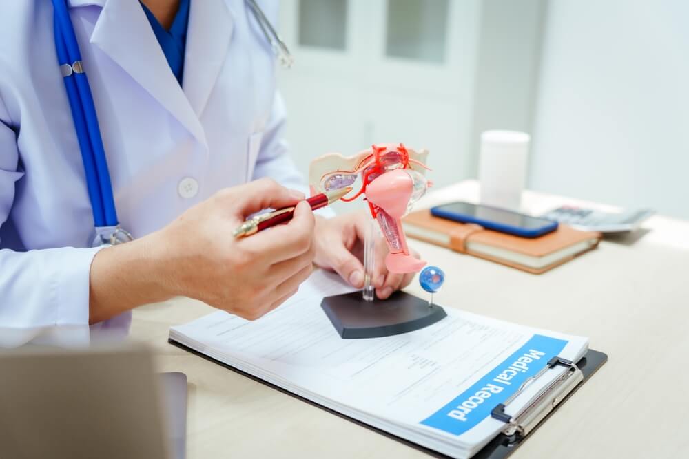 Meeting with your doctor can help you deal with uterine fibroid complications